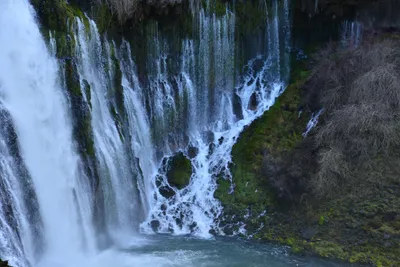 DSC_5942 (Large).JPG